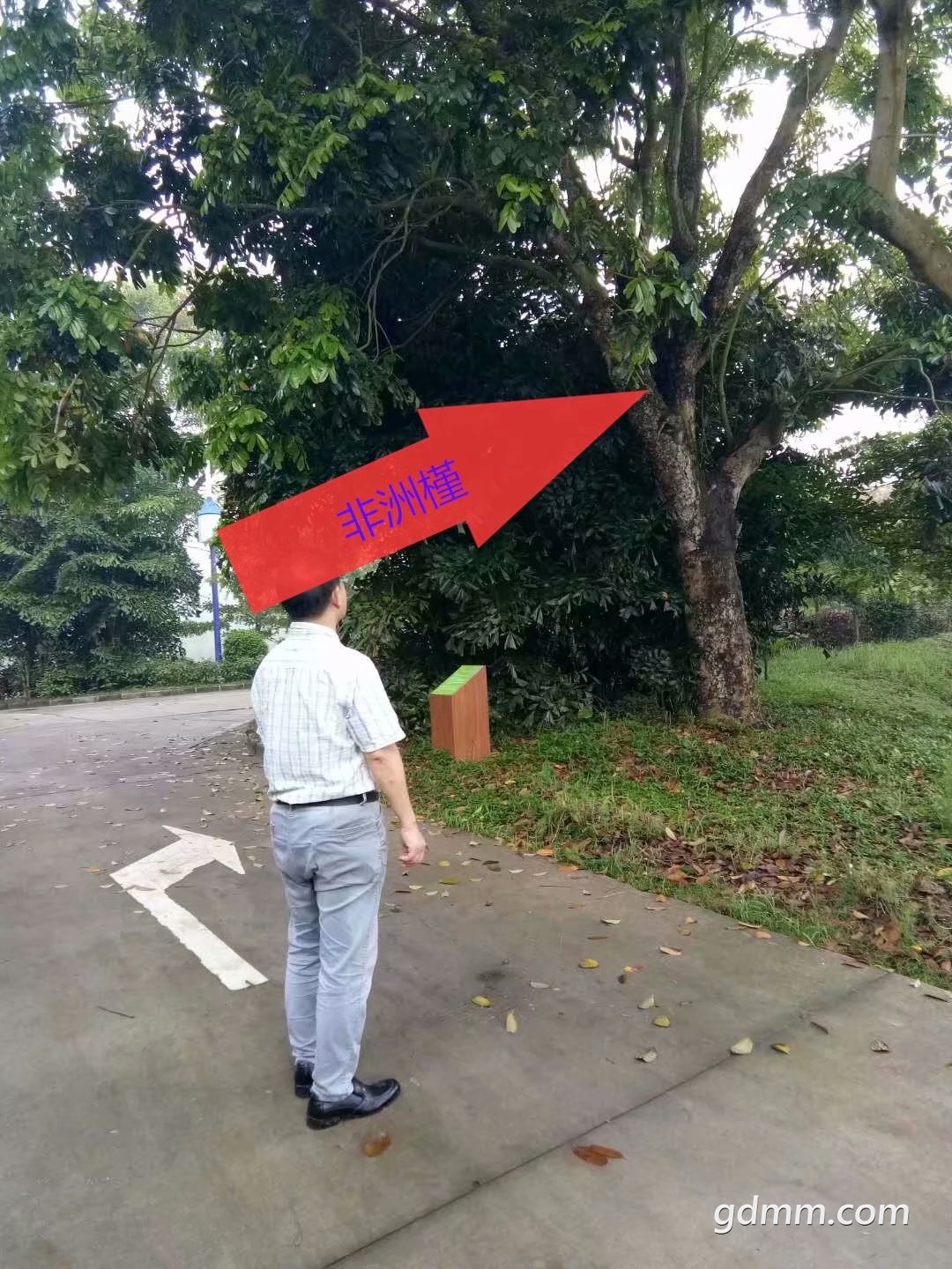 psb.jpg