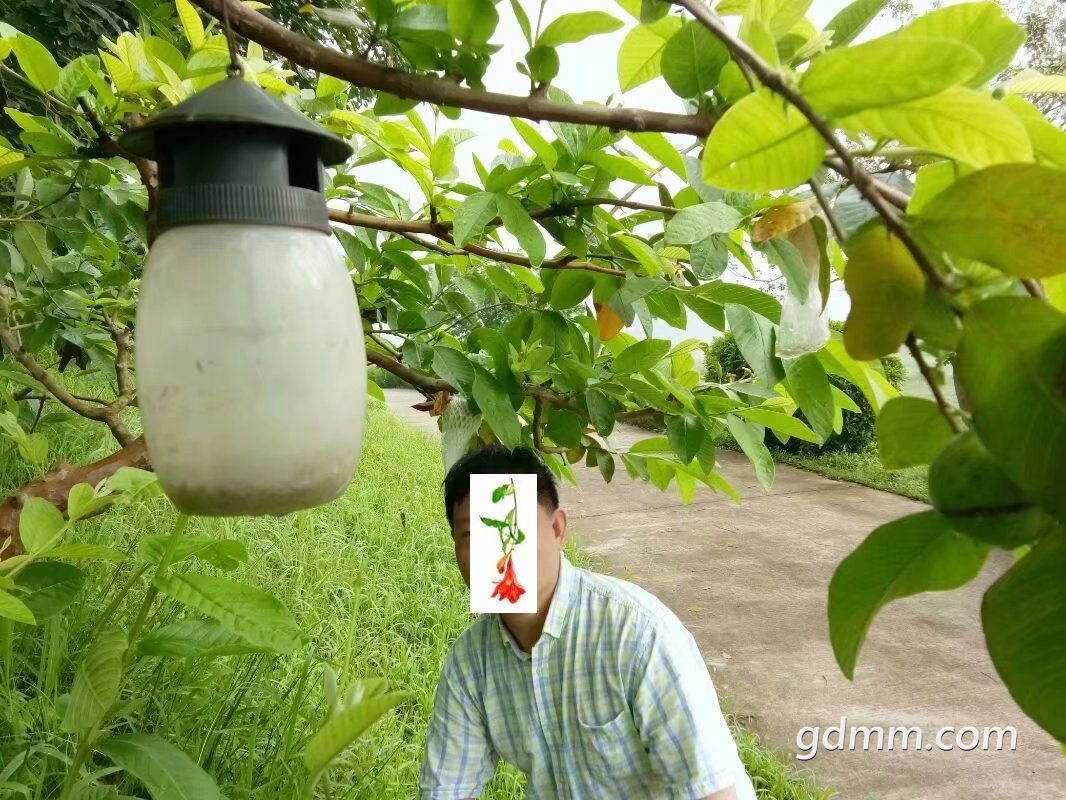 psb.jpg