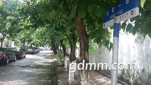 20180624_141601.jpg
