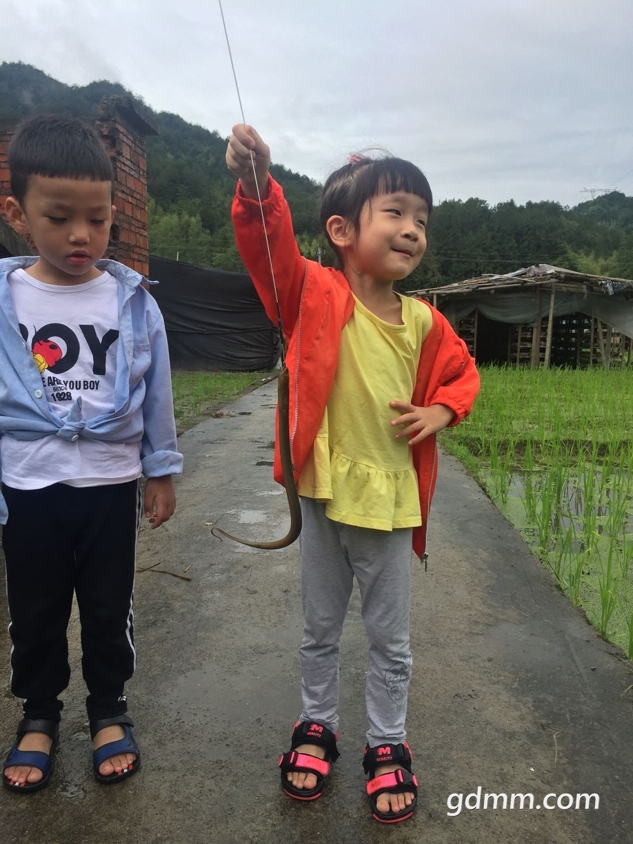 QQͼƬ20180611125449.jpg
