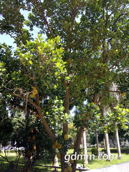 ΢ͼƬ_20180629143558.jpg