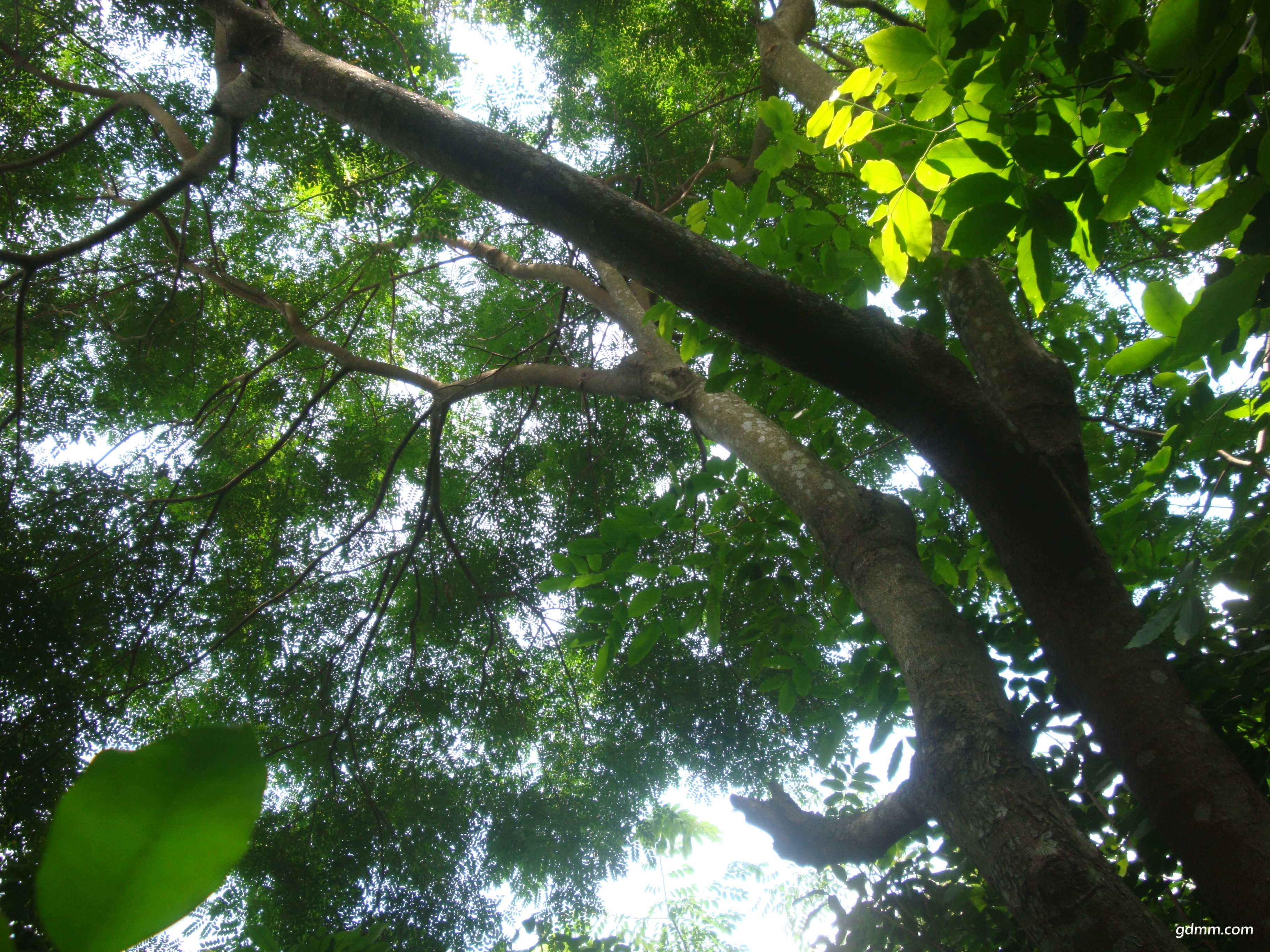 DSC01610.JPG