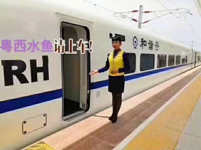 name_1.jpeg