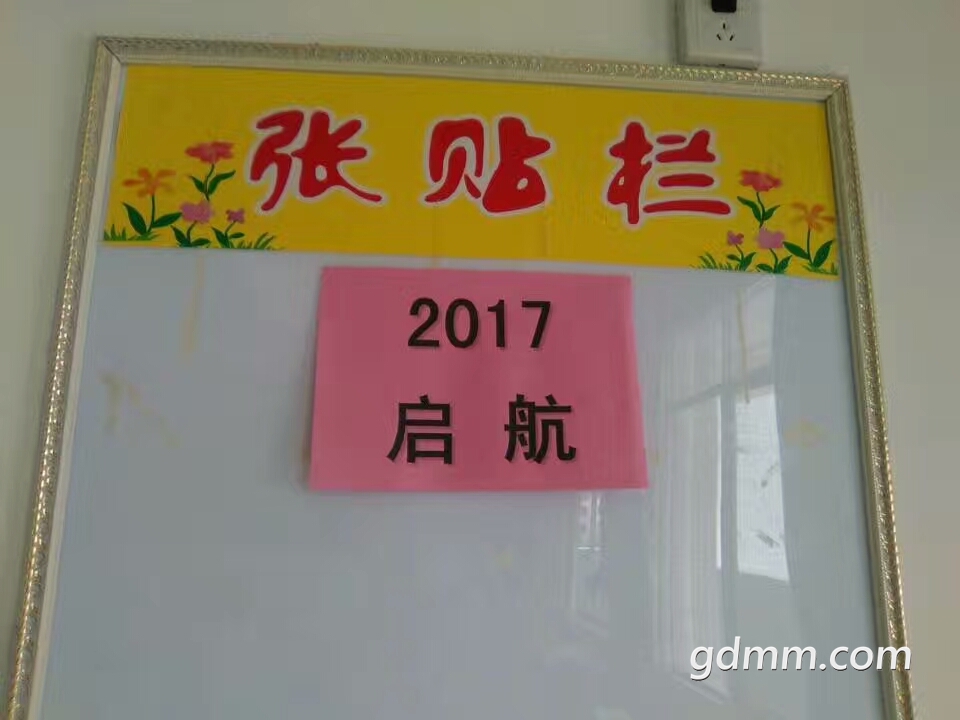 mmexport1530346524787.jpg