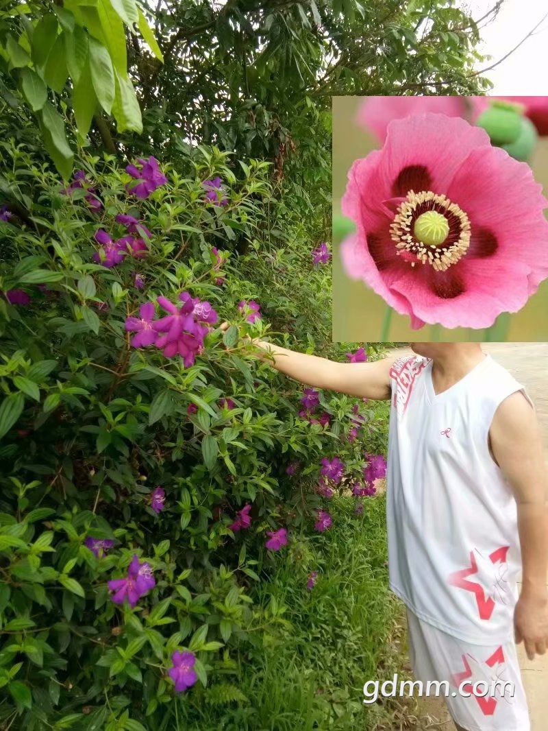 psb.jpg