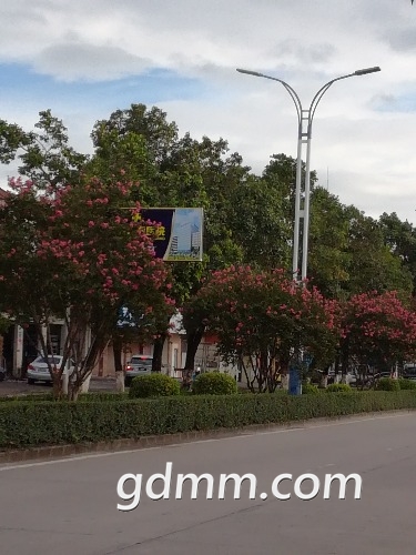 IMG_20180718_081605.jpg