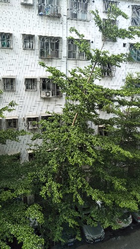 IMG20180718101056.jpg