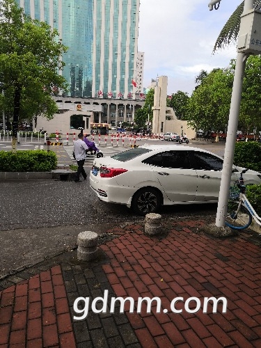 IMG_20180718_071615.jpg