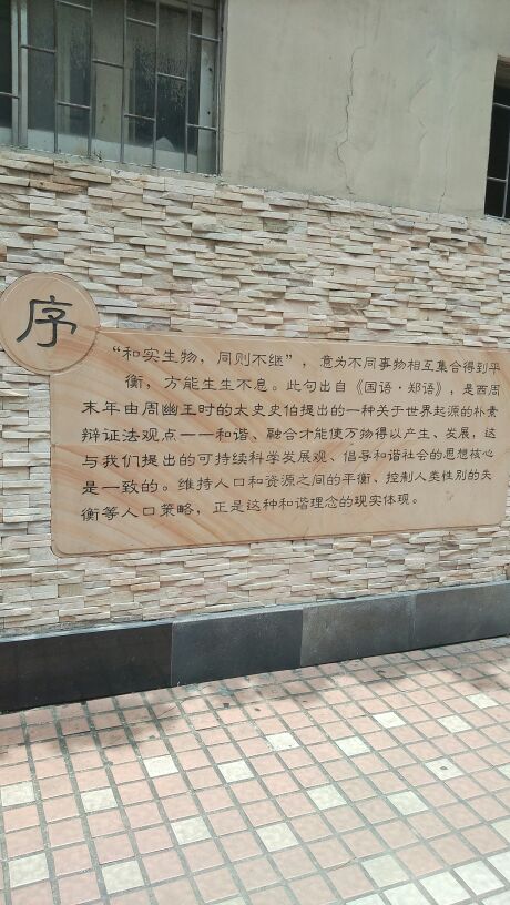 1532009973314_.jpg