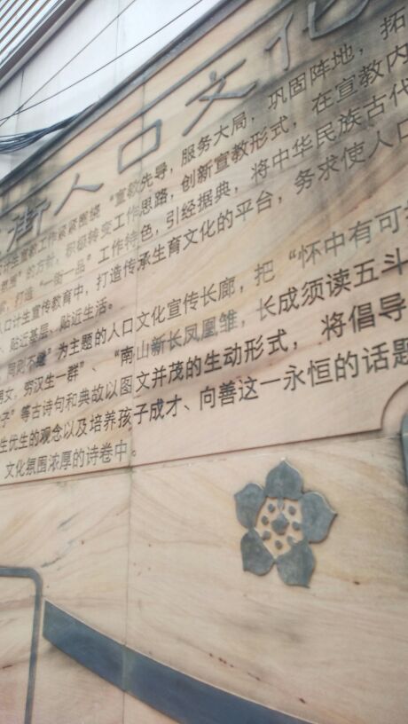 1532009972633_.jpg