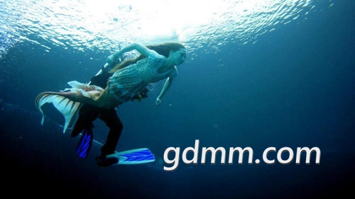 135738.66511820_500.jpg