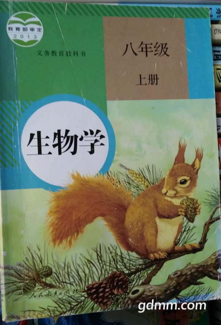 103509hi3sepsqx3sqjxaa.jpg