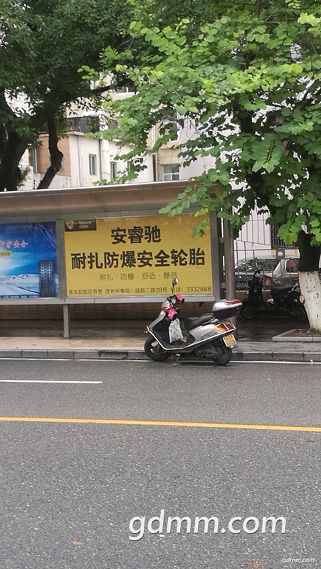333_.jpg