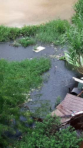 IMG20180723130430.jpg
