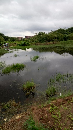 IMG20180724120413.jpg