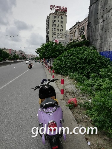 IMG_20180726_164252.jpg