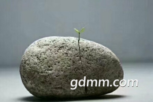 mmexport1507549873238.jpg