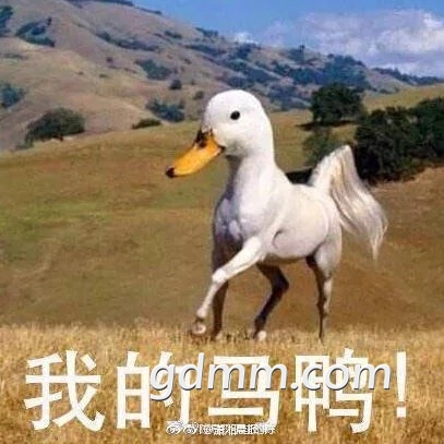 62ac1493gy1ftudzxpglaj20bb0bbab3.jpg