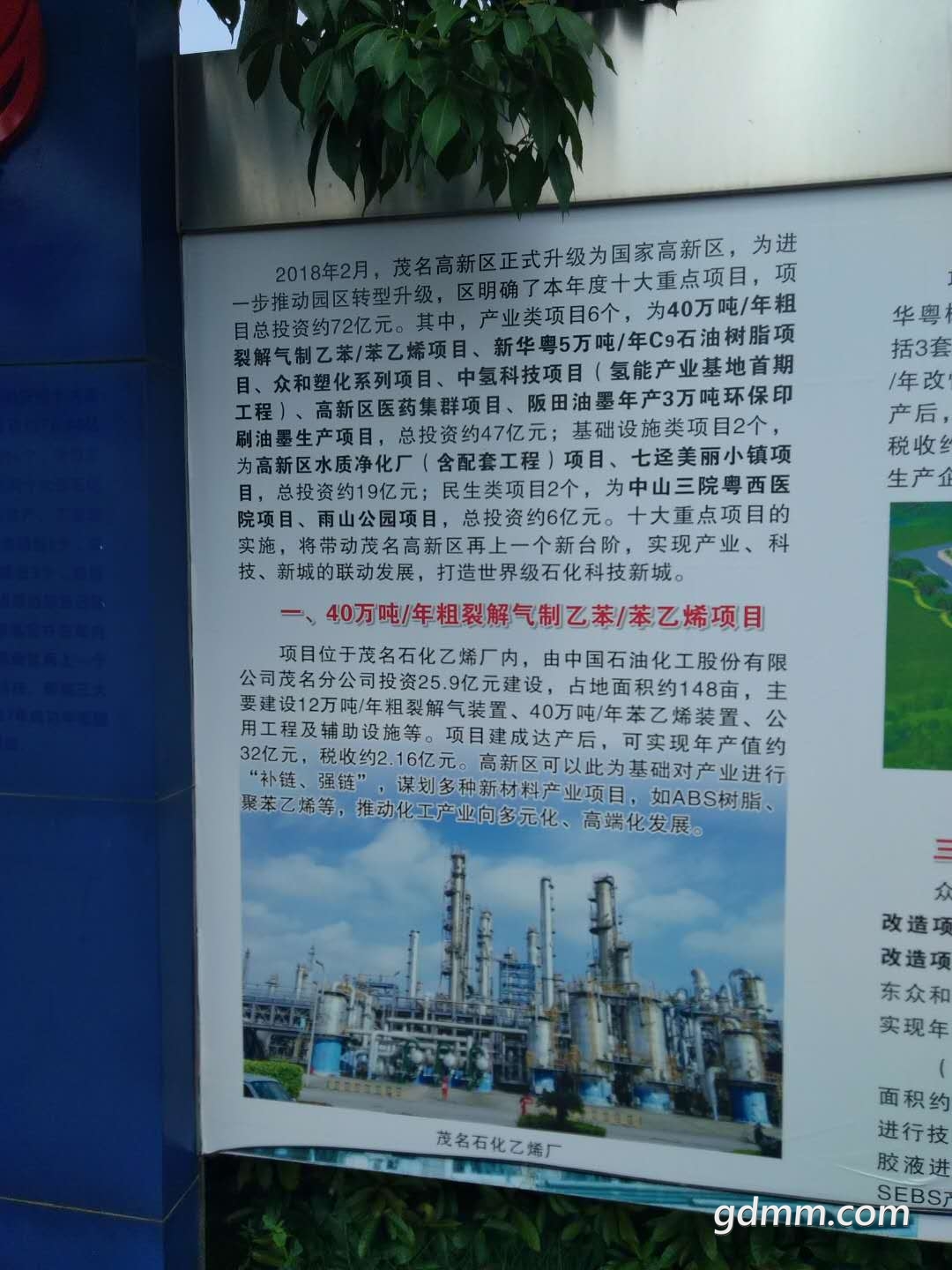 289493826.jpg