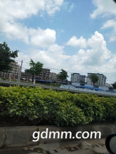 IMG20180821125618.jpg