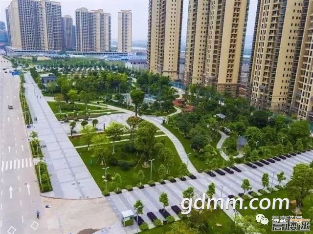 095537qi61sorhuphzu631.jpg