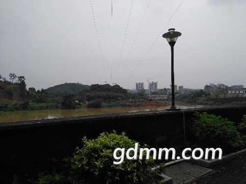 120206g1dl1111he8d7o8d.jpg