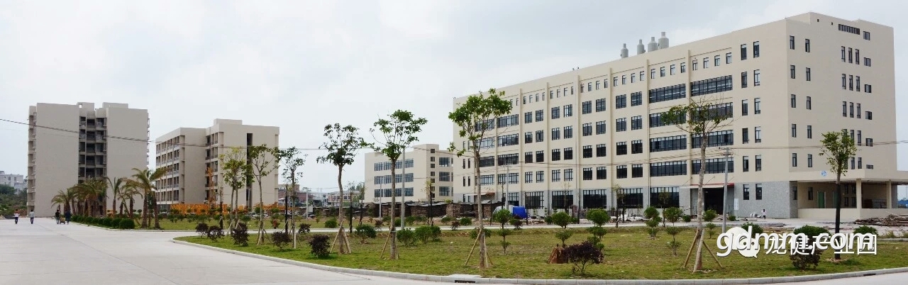 mmexport1535344769987.jpg