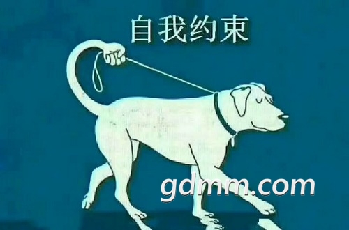 mmexport1525489268859.jpg