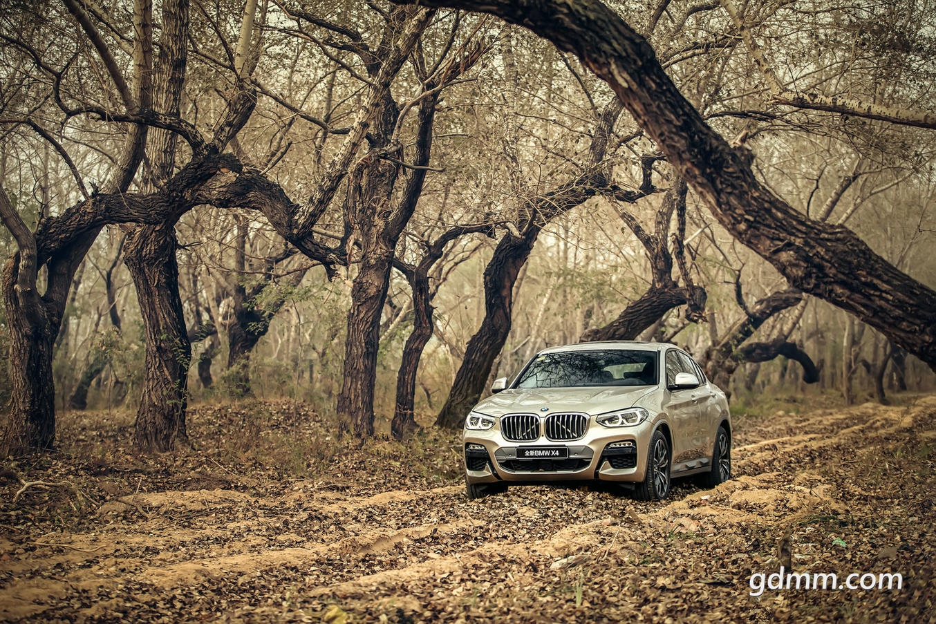 03.ȫBMW X4.jpg