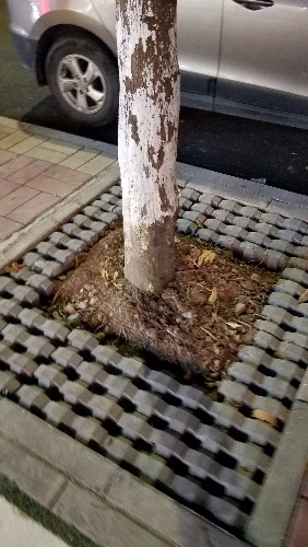 20181026_212832.jpg