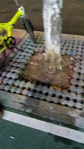 20181026_212928.jpg