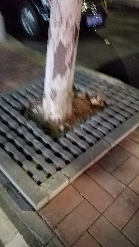 20181026_213212.jpg
