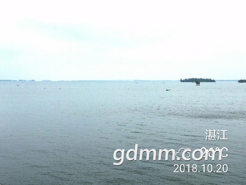 IMG_20181020_150816.jpg