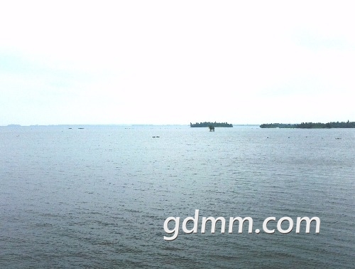 IMG_20181020_150605.jpg