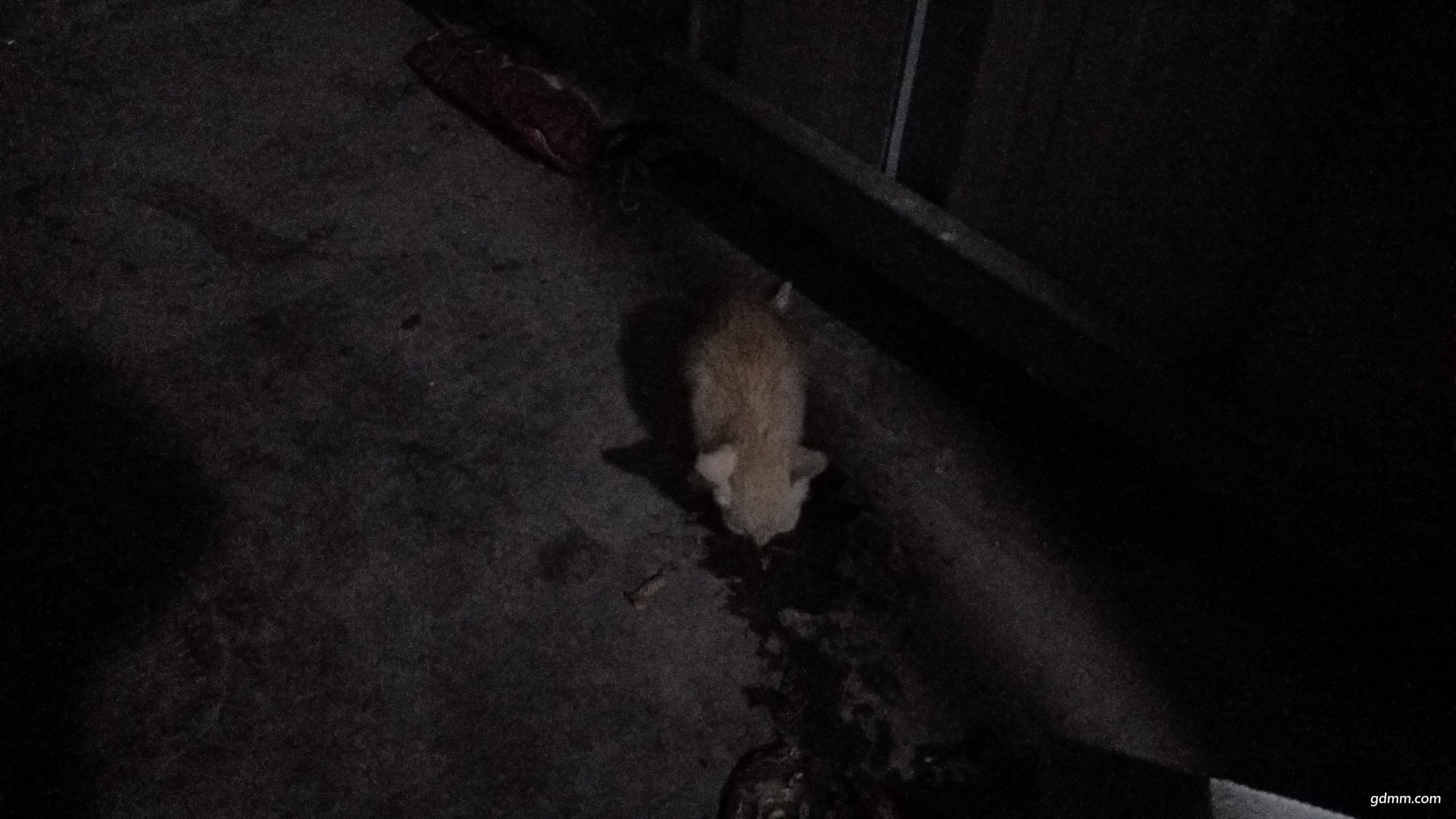 IMG20181103184652.jpg