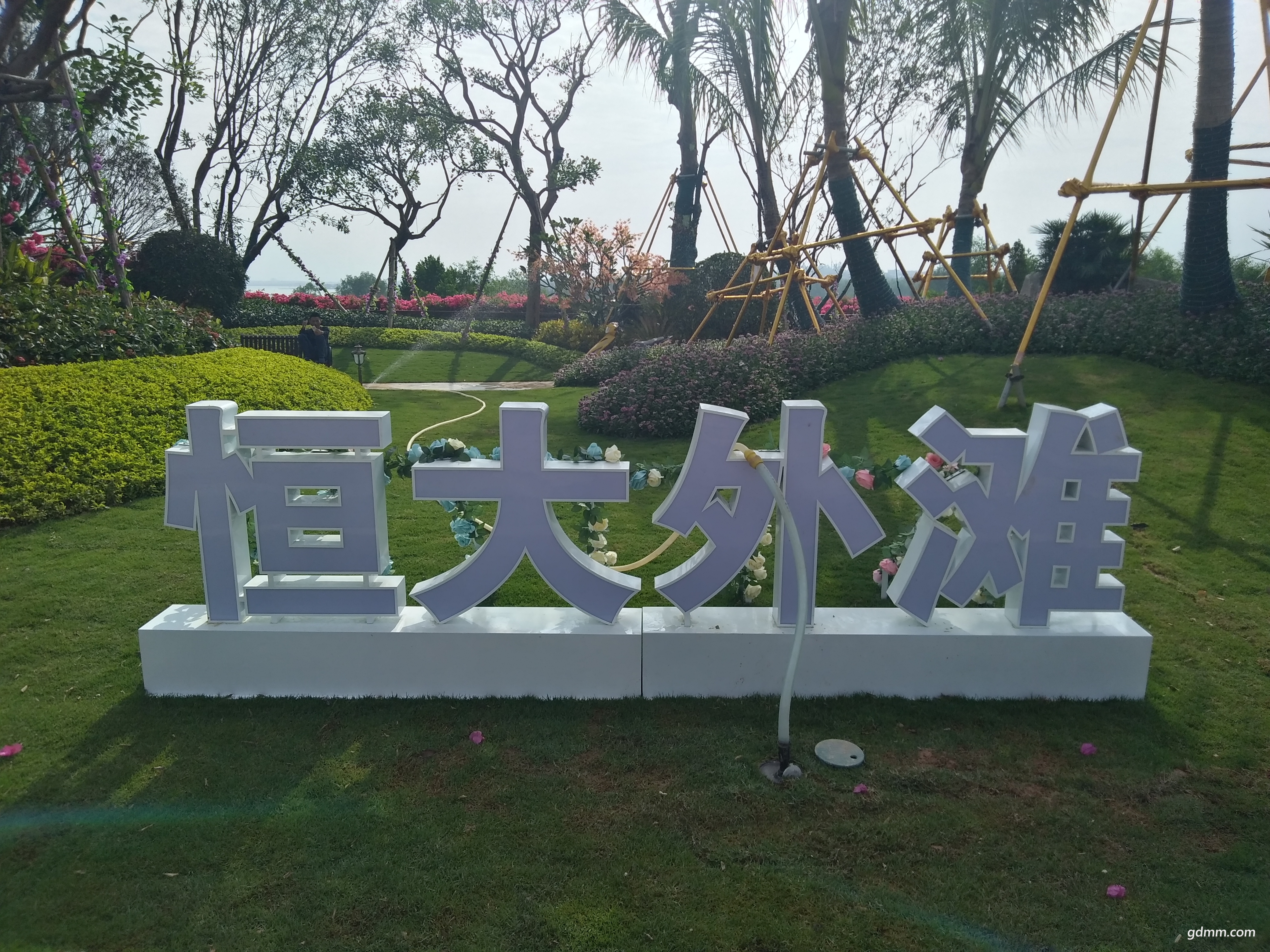 284564155.jpg