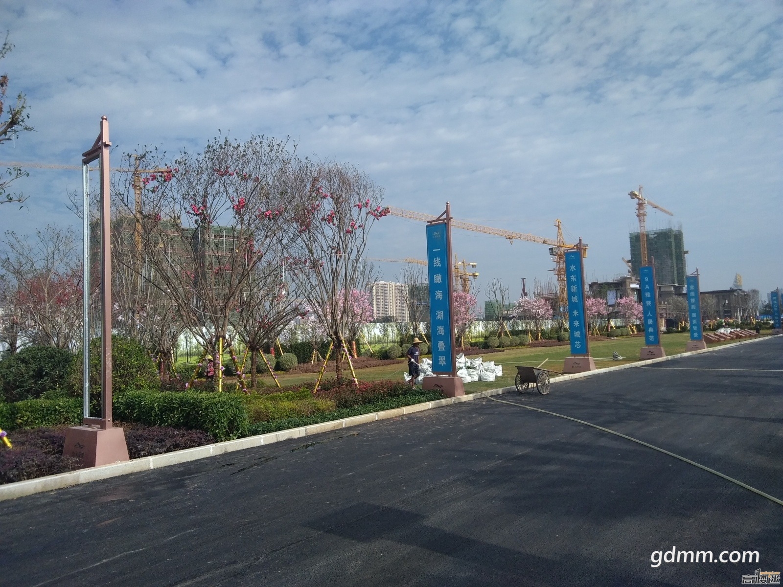 113124hl38370j8ffqhqgm.jpg