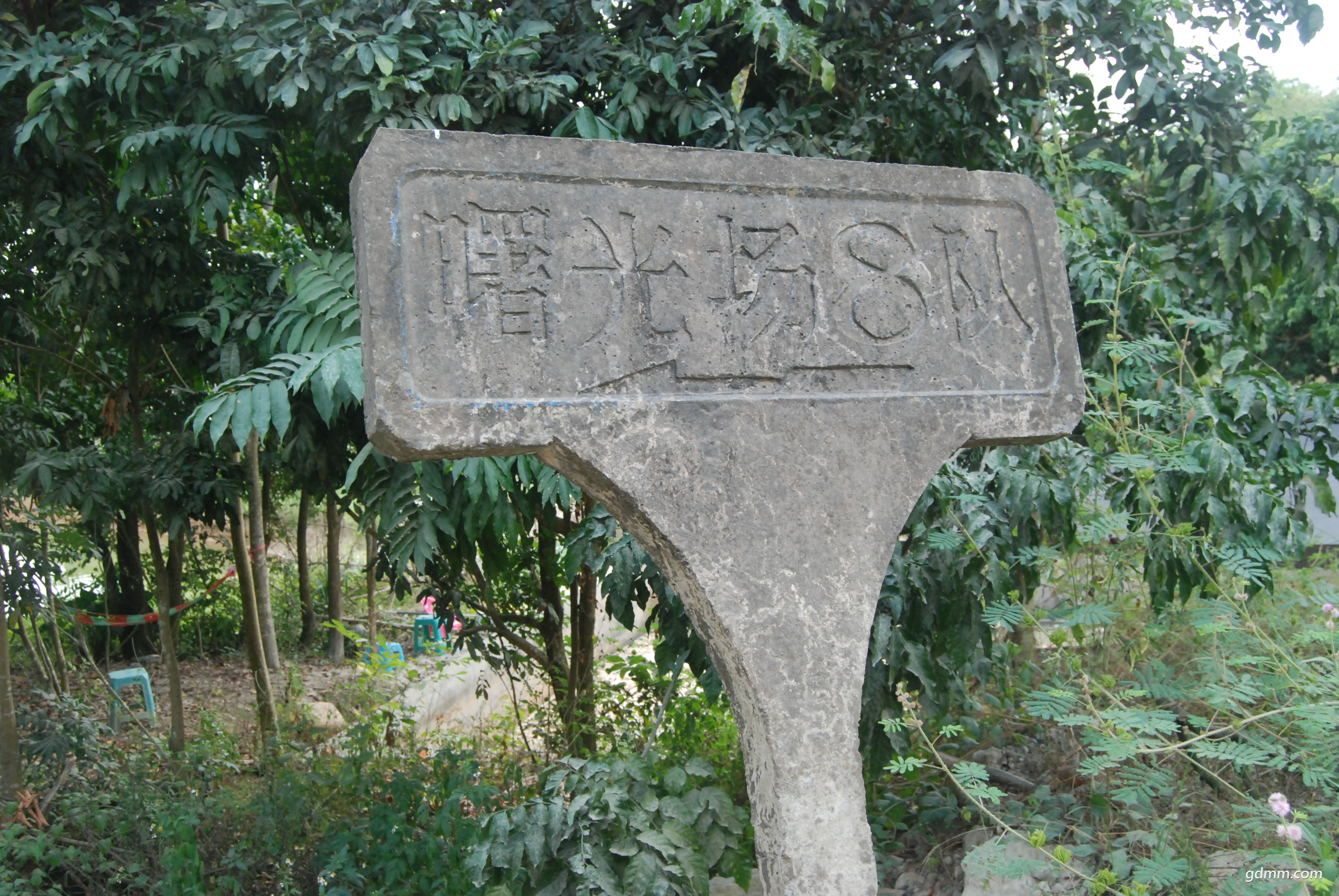 DSC_8937.JPG