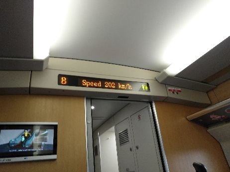 1543378248964_.jpg