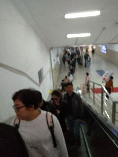 1543383046883_.jpg
