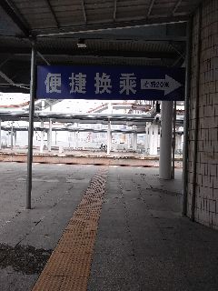 1543383353449_.jpg