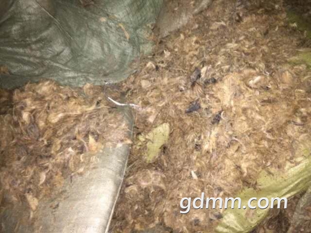 ΢ͼƬ_20181202194534.jpg