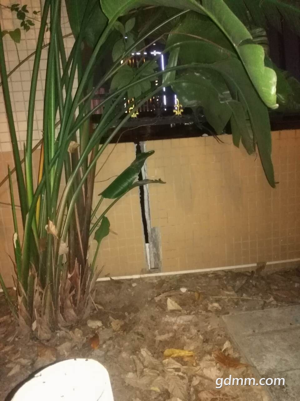 ΢ͼƬ_20181203001709.jpg