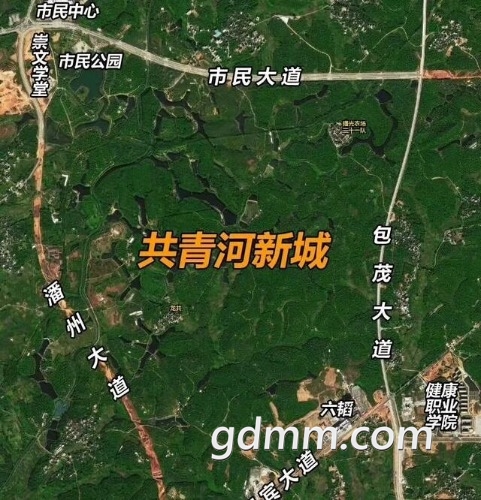 mmexport1543587101744.jpg