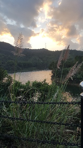 20181205_174419.jpg
