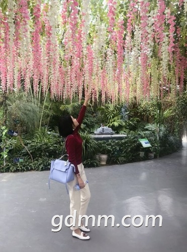 8d0612bdf781acb5.jpg_r_505x680x95_3fc86805.jpg