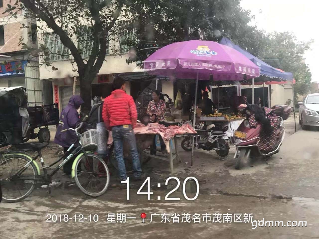 20181210_3269607_1544428510358.jpg