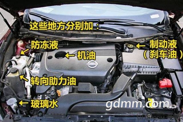 u=2779701039,3678956512&amp;fm=173&amp;s.jpg