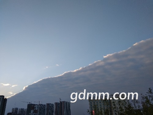 mmexport1544963535063.jpg