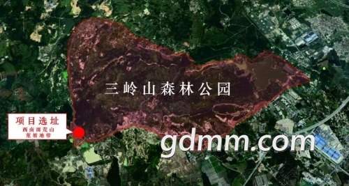 -2ab807f6d6667539.jpg